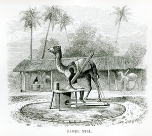 Camel Mill, from 